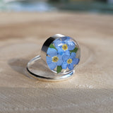 Ring rund, Vergissmeinnicht, Silberring (.925er) Ring verstellbar, mit echter Blüte, Harz