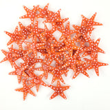 Icon Seestern / estrella de mar - Dekostein Streudeko mundgeblasen, handgefertigt
