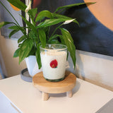 Sojawachs Kerze im Glas Serie Icons Flamingoblume ANTURIO rojo vaso conical dof 250ml