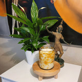 LUSCIOUS VANILLA Duftkerze aus Sojawachs im Glas PINTAS amber vaso classic dof 330ml