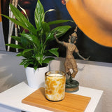 TIGER LILY RAIN Duftkerze aus Sojawachs im Glas PINTAS amber vaso classic dof 330ml