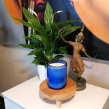BLUEBELL Duftkerze aus Sojawachs im Glas UNICOLOR cobalt vaso classic dof 330ml