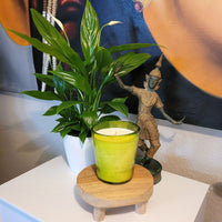 PEAR & FREESIA Duftkerze aus Sojawachs im Glas UNICOLOR green vaso conical dof 250ml