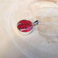 Kette mit rundem Anhänger, Christusdorn, Silberschmuck (.925er), 45cm, mit echter Blüte/Blume, Harz