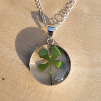 Kette mit rundem Anhänger, Kleeblatt, Silberschmuck (.925er), 45cm, mit echter Blüte/Blume, Harz