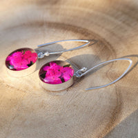 Ohrringe mit ovalem Anhänger, Holunderblüte, Silberschmuck (.925er), mit echter Blüte/Blume, Harz